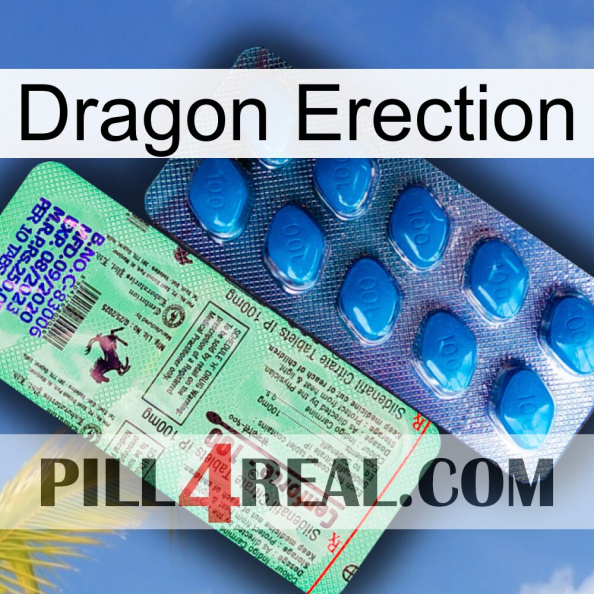 Dragon Erection new02.jpg